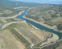meandro